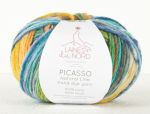 Picasso